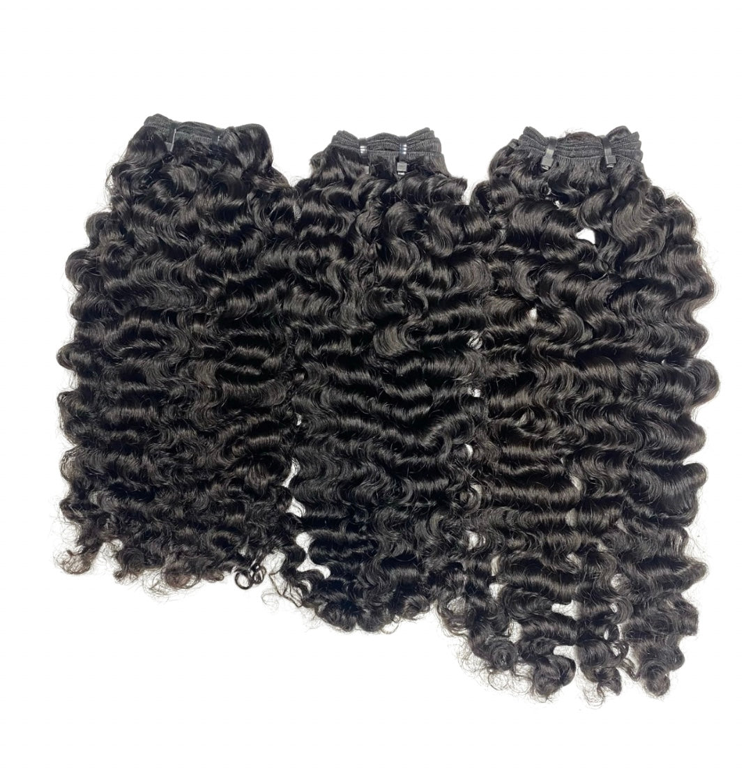 Burmese Curly