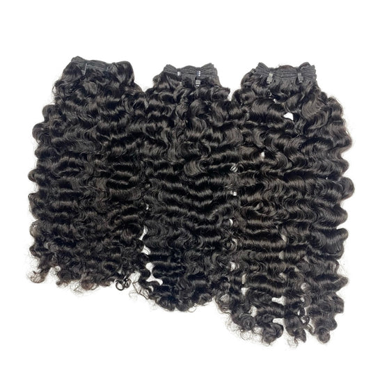 Burmese Curly